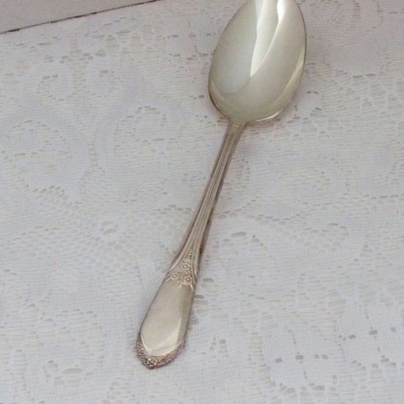 Vintage Silverplate Serving Spoon MARY LOU DEVONSHIRE 8.5" Rogers International - Picture 1 of 4